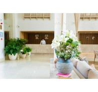 Готель Andalus Al Seef Resort, 4★
