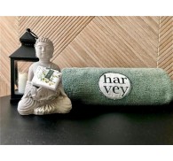 Готель Apart Hotel Harvey, апартаменты★