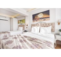 Готель Beyazit Palace Hotel, 4★