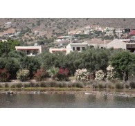 Готель Elounda Olive Garden Apts & Studios, 3★