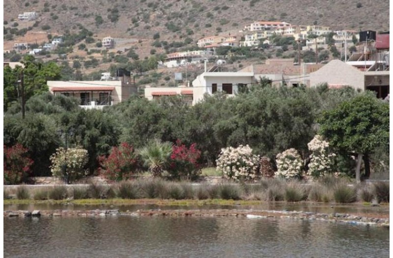 Готель Elounda Olive Garden Apts & Studios, 3★ Готель Elounda Olive Garden Apts & Studios, 3★