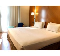 Готель Exe Puerta Castilla, 4★
