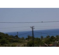 Готель Faliraki Vista, 1★
