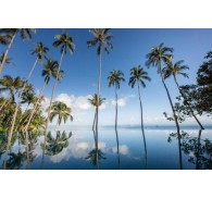Готель Four Seasons Resort Koh Samui, 5★