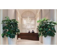 Готель Hotel Cristoforo Colombo, 4★