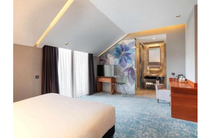 Готель Ibis Styles Istanbul Atasehir, 4★