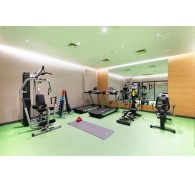 Готель Ibis Styles Istanbul Atasehir, 4★