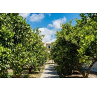 Готель Ilyssion Holidays Apartments & Studios, 3★