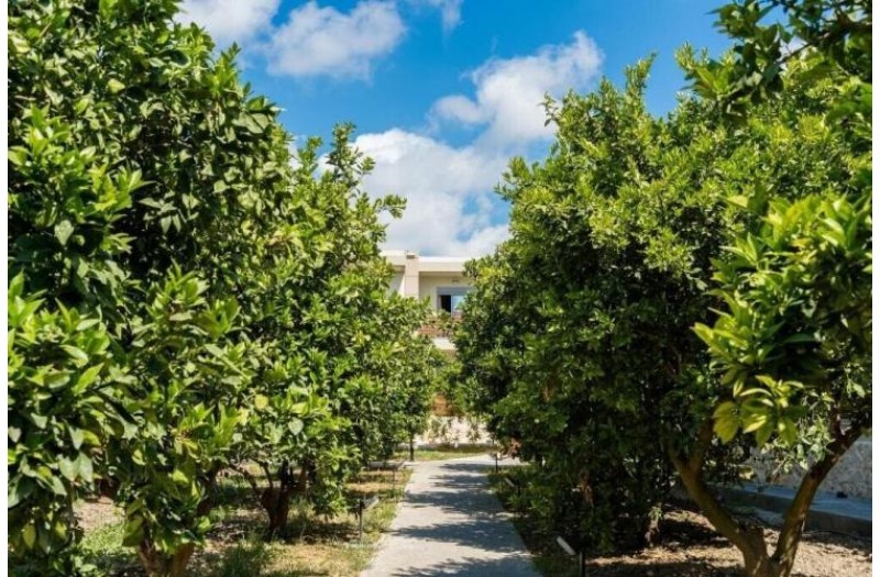 Готель Ilyssion Holidays Apartments & Studios, 3★ Готель Ilyssion Holidays Apartments & Studios, 3★