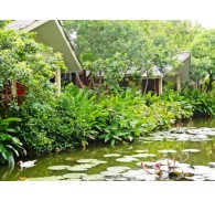 Готель Kata Country House, 3★