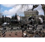 Готель Kuran, 3★