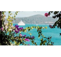 Готель Macakizi Bodrum, 5★