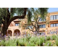 Готель Marbella Nido Suite Hotel & Villas, 5★