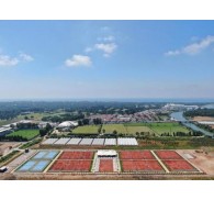 Готель Megasaray Club Belek, 5★