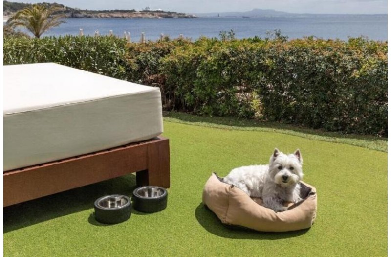 Готель Melia Del Mar, 5★ Готель Melia Del Mar, 5★