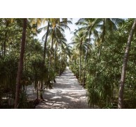 Готель Nakai Maayafushi Resort, 5★