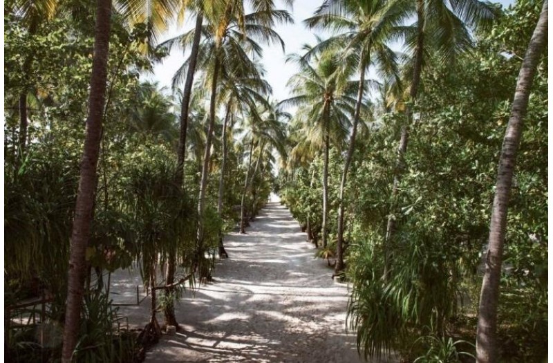 Готель Nakai Maayafushi Resort, 5★ Готель Nakai Maayafushi Resort, 5★