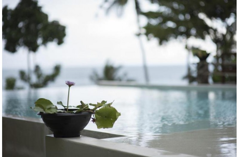 Готель Nest Sense Resort, 3★