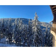 Готель Orphey Pamporovo, 4★