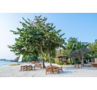 Готель Paradee Resort & SPA, 5★