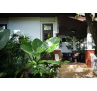 Готель Phangan Bayshore Resort, 3★