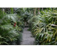 Готель Puri Sunia Resort (ex. Puri Sunia Resort), 4★