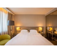 Готель Radisson Blu Istanbul Ottomare (ex. Radisson Blue Atakoy), 5★