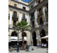 Готель Roma Reial, 1★