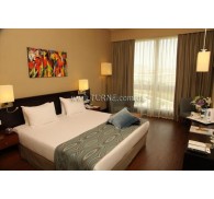 Готель Sabiha Gokcen Airport Hotel, 5★