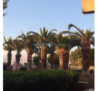 Готель Suneo Club Ialyssos Bay, 4★