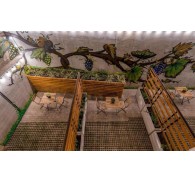 Готель Tbilisi Story Hotel, 3★