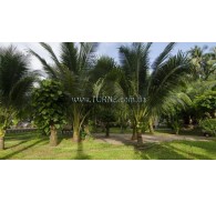 Готель Thai Hoa Resort, 3★