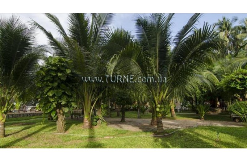 Готель Thai Hoa Resort, 3★ Готель Thai Hoa Resort, 3★
