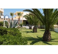 Готель Venus Beach Platanias, апартаменты★