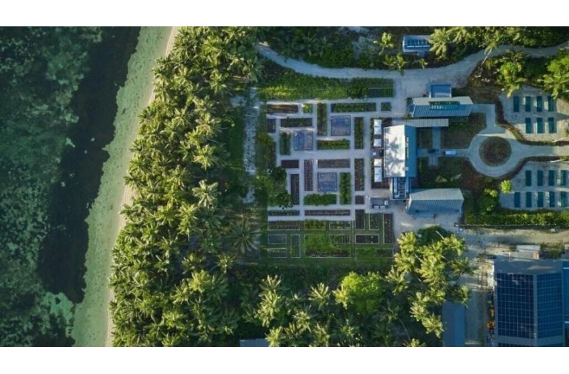 Готель Waldorf Astoria Seychelles Platte Island, 5★ Готель Waldorf Astoria Seychelles Platte Island, 5★