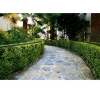 Готель Yel Holiday Resort, 3★